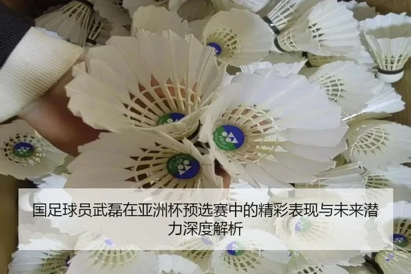 国足球员武磊在亚洲杯预选赛中的精彩表现与未来潜力深度解析
